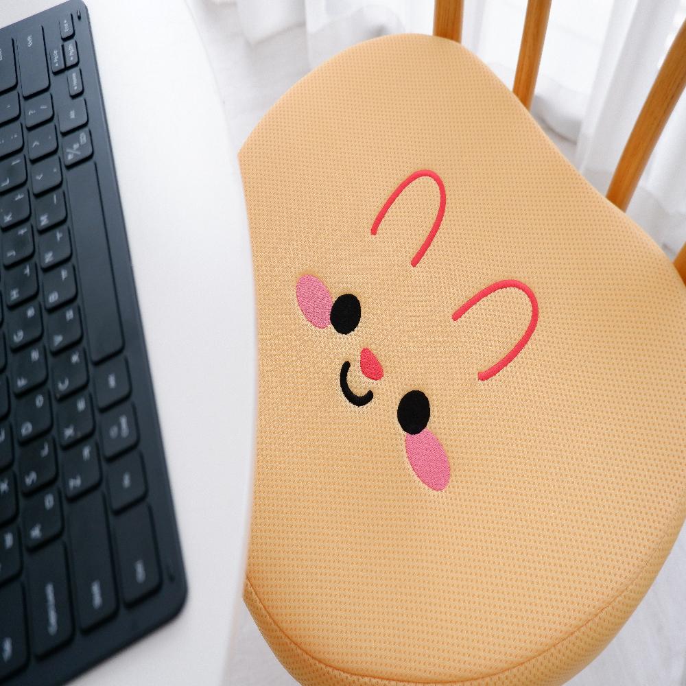 HiHip poture correction cushion