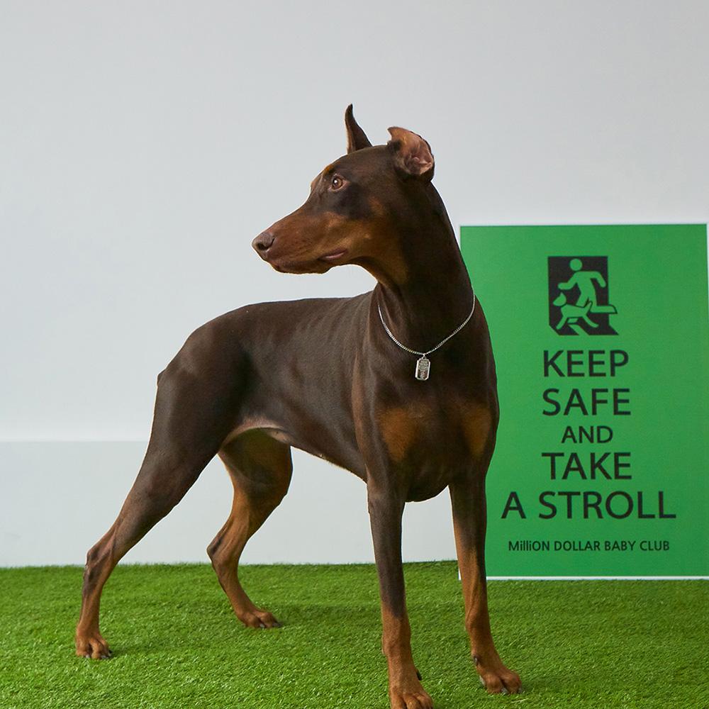 Gold Bar Flex Necklace Gold XS