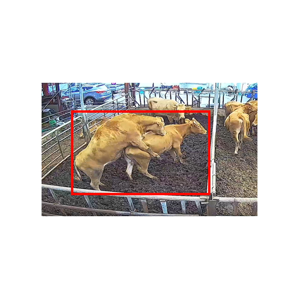 Cutting edge AI Standingheat detection system