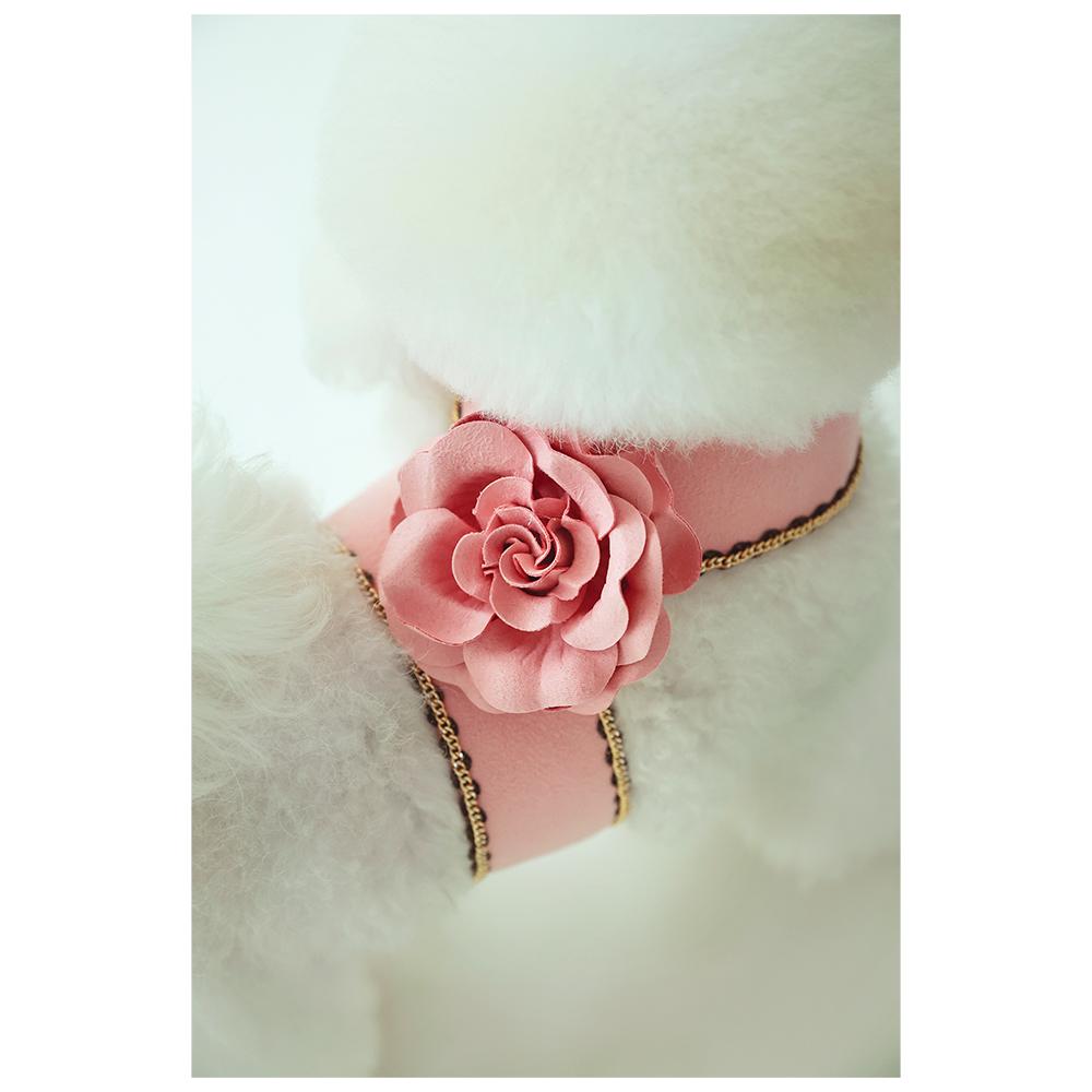 Flower gold chain harness(pets products/dog fashion/dog /cat)_4 colors