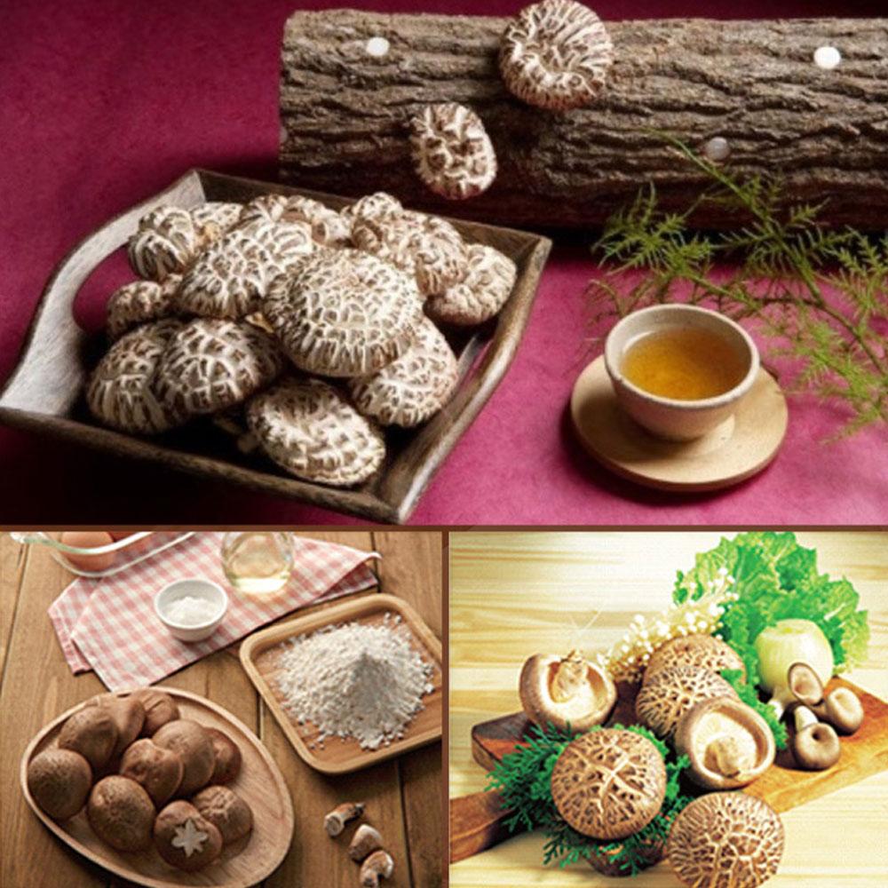 Whole mushrooms for flavor soup oak wood cultivation organic shiitake mushrooms