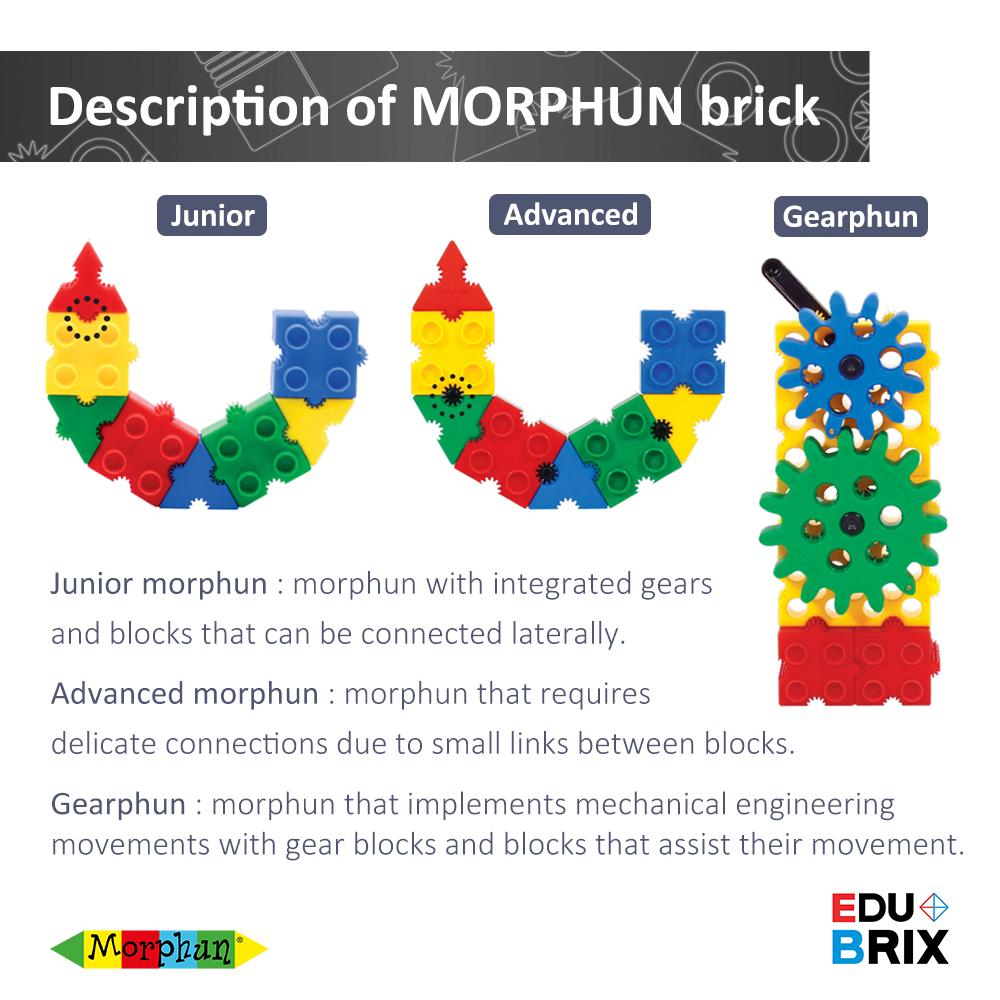 Morphun Basic Advanced 600
